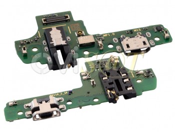 PLACA ANALOGICA DE A10S/ PIN DE CARGA